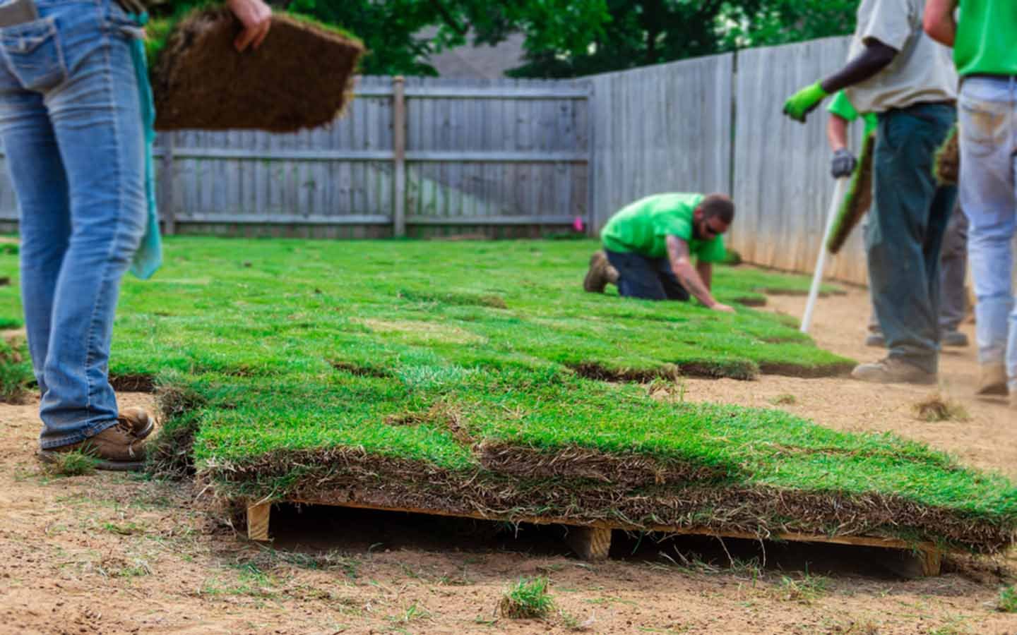 Victory Hight's Premier Landscaping Services in Dubai